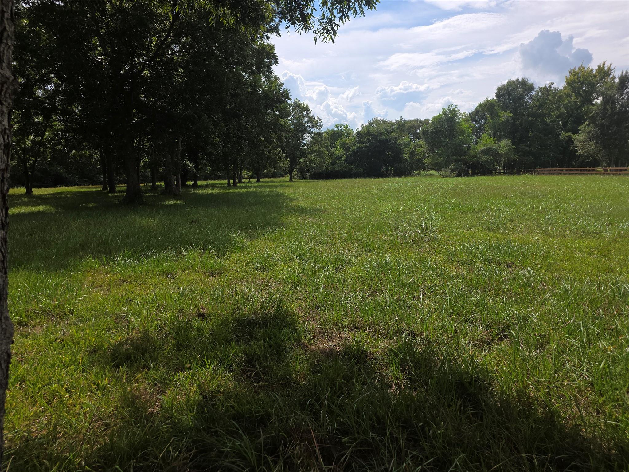 16834 Wrangler Road