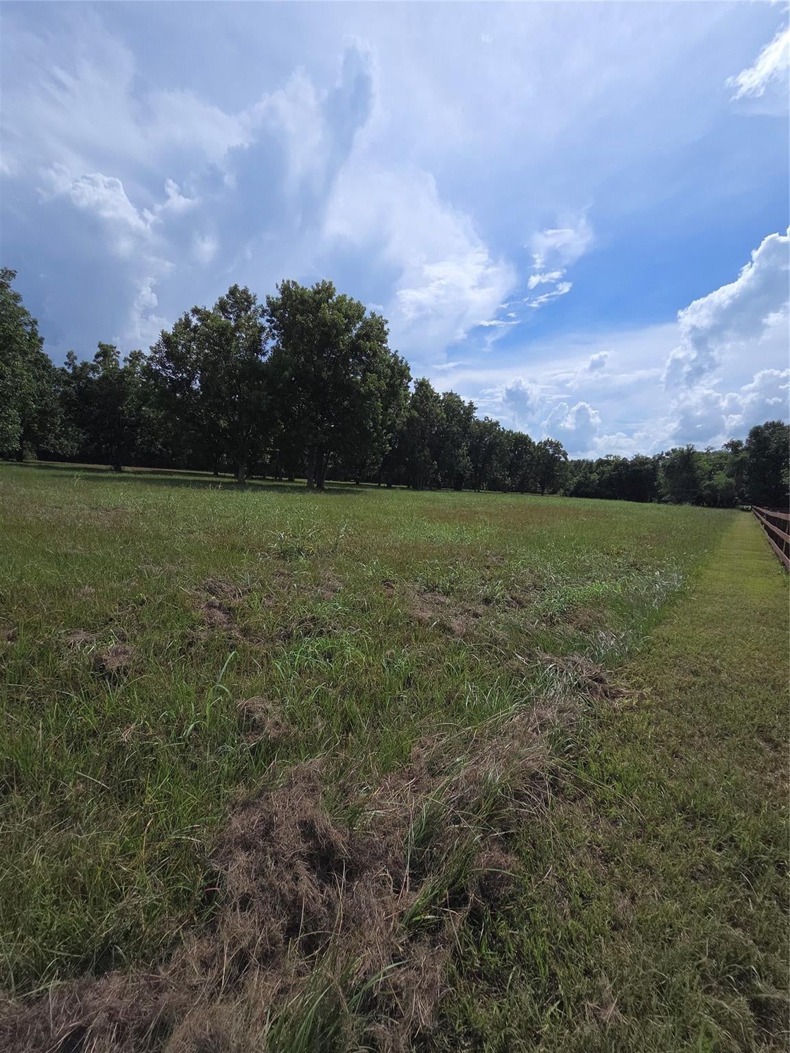 16834 Wrangler Road