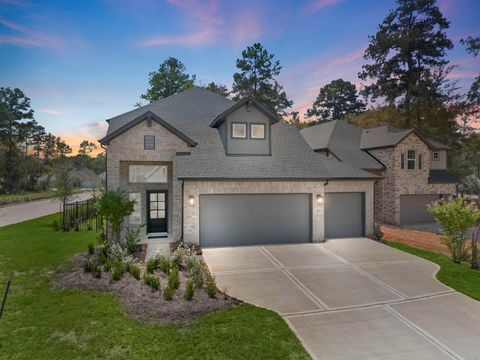 703 Campbell Crossing Court Willis TX 77318
