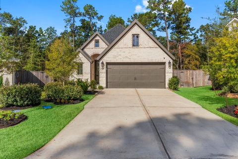 Photo of 317 Mullins Court, Montgomery, TX 77316 (MLS # 33139255)