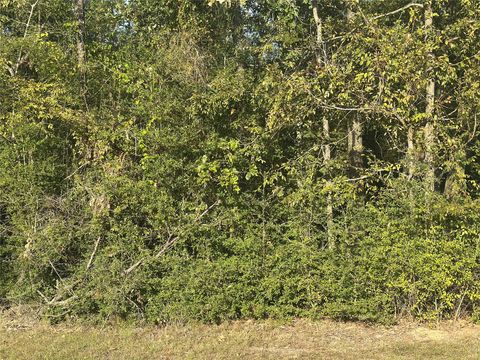 0 Magnolia Lane Onalaska TX 77360