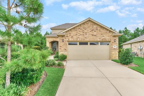 128 Caspian Way The Woodlands TX 77382