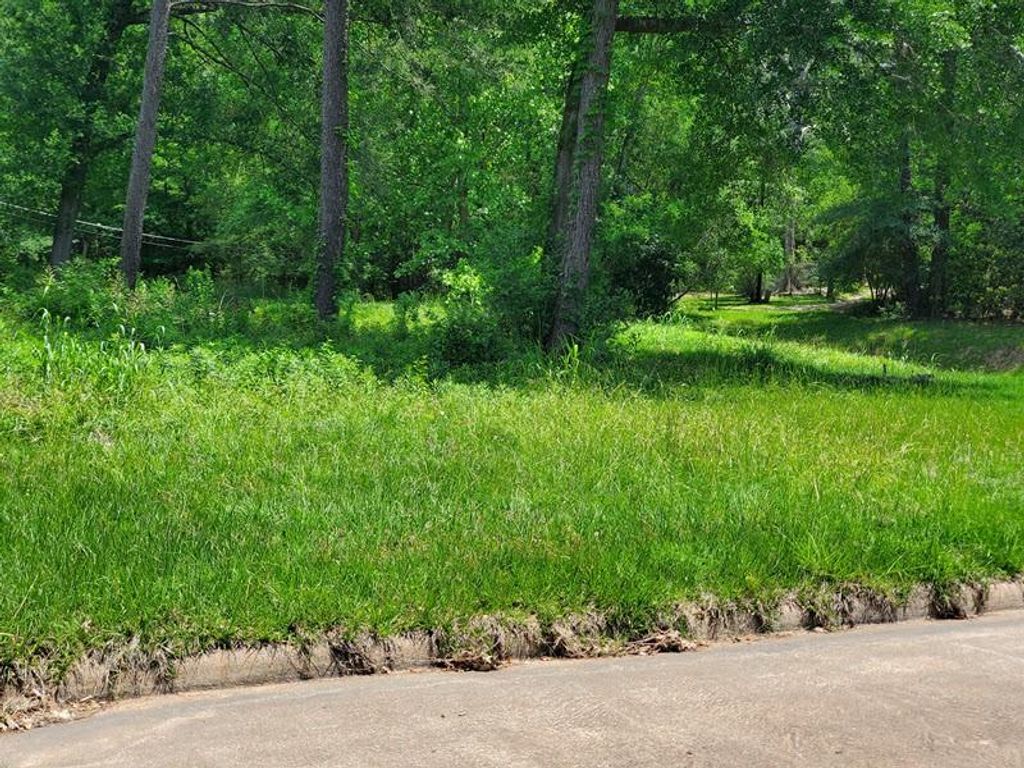 Photo of 27218 Afton Way, Huffman, TX 77336 (MLS # 96603282)