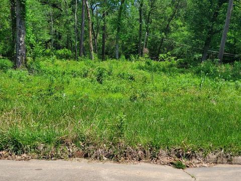 Photo of 27218 Afton Way, Huffman, TX 77336 (MLS # 96603282)