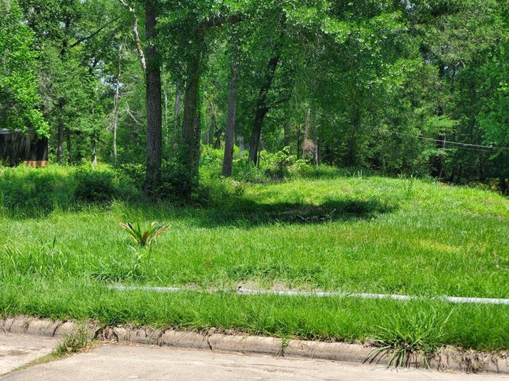Photo of 27218 Afton Way, Huffman, TX 77336 (MLS # 96603282)