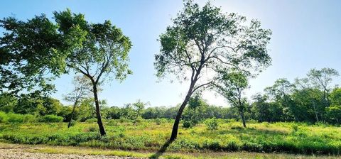 Photo of 0 Baldwin Drive, Hungerford, TX 77448 (MLS # 5686268)