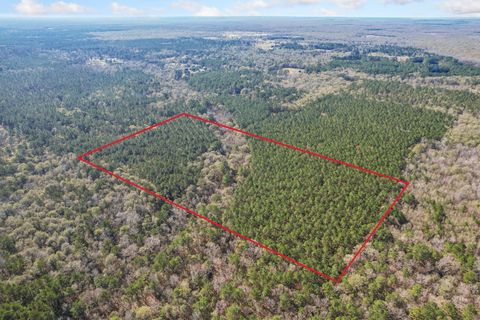 Photo of 473 County Road 2125, Cleveland, TX 77327 (MLS # 23326556)