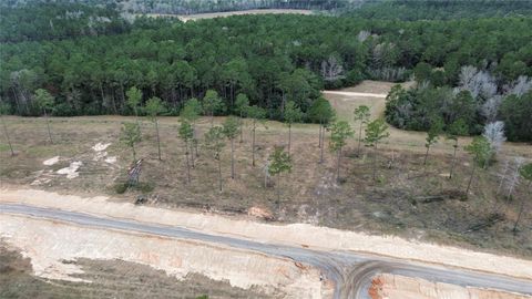 Photo of 0 Anna Grace, Livingston, TX 77351 (MLS # 88566285)