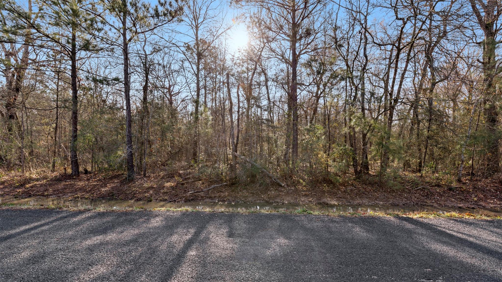 TBD2 Rhonda Rosa Road