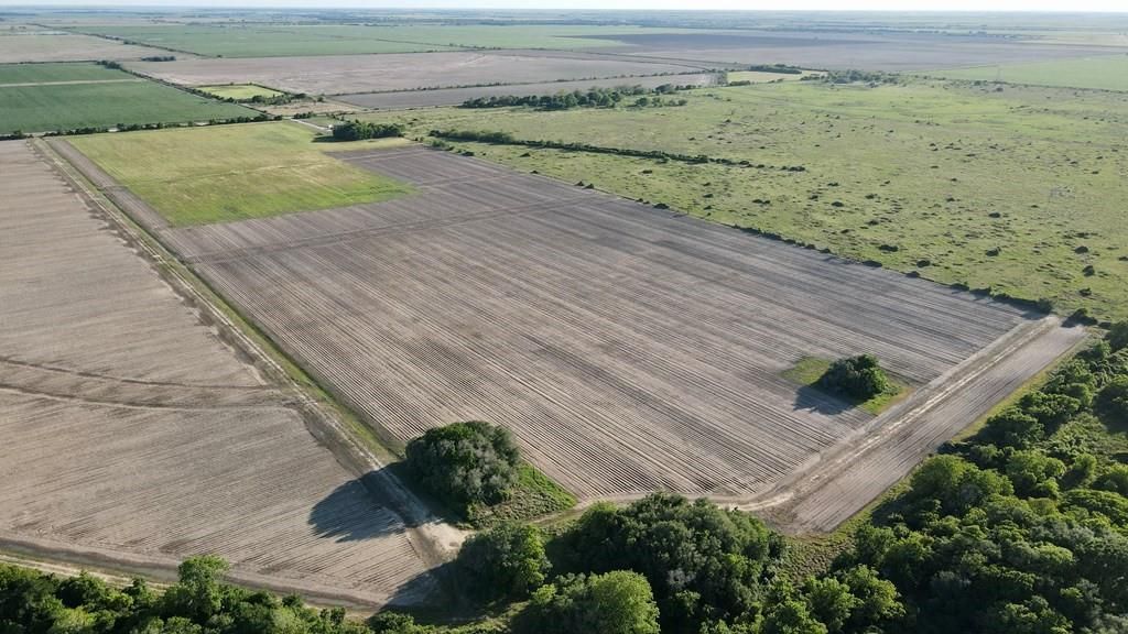 Photo of 0 Cr 343 Road, Blessing, TX 77419 (MLS # 78165005)