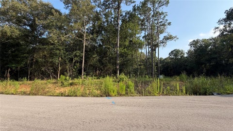 Photo of 221 Kings Court, Dayton, TX 77535 (MLS # 23907232)