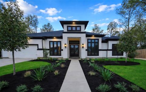 41663 Wendele Way Todd Mission TX 77316