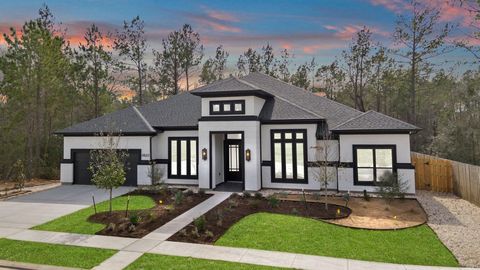 41663 Wendele Way Todd Mission TX 77316