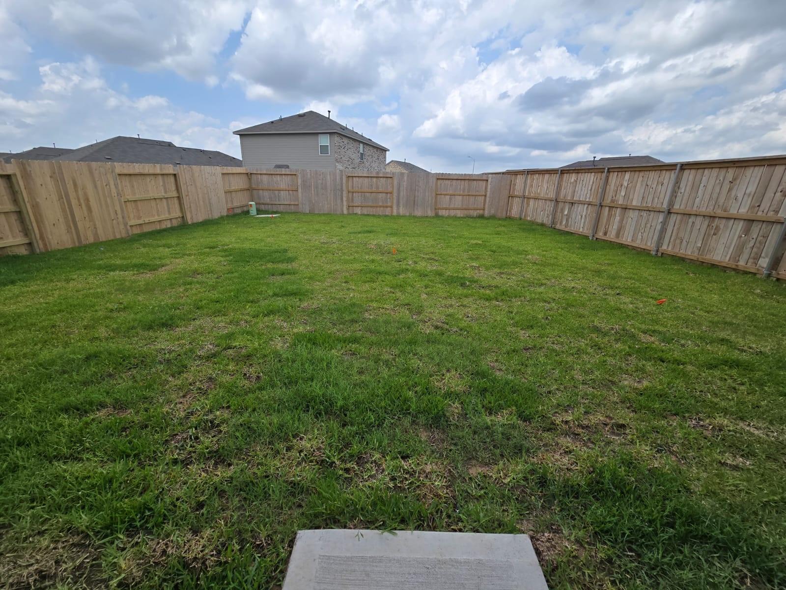 26706 Dalmatian Bellflower Drive