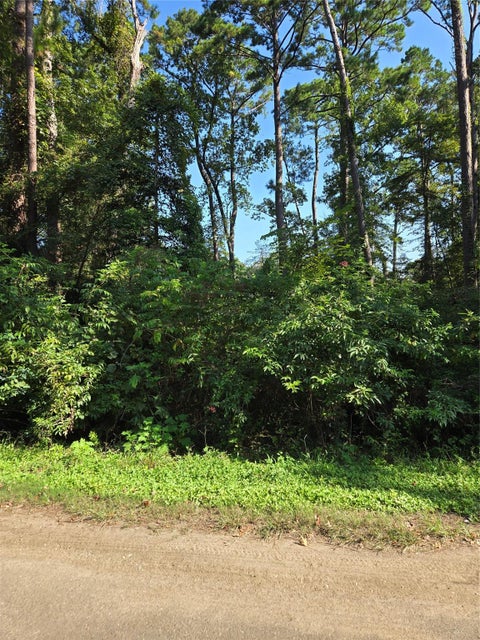 Photo of 237 White Oak, Burkeville, TX 75932 (MLS # 76909453)
