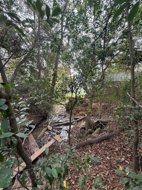 Vacant Land For Sale - Sequoia Drive<br/> Livingston, TX 77351