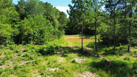 Vacant Land For Sale - 391 Piney Creek Estates Rd<br/> Timpson, TX 75975