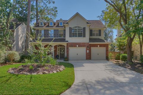 23 Fortuneberry Place The Woodlands TX 77382