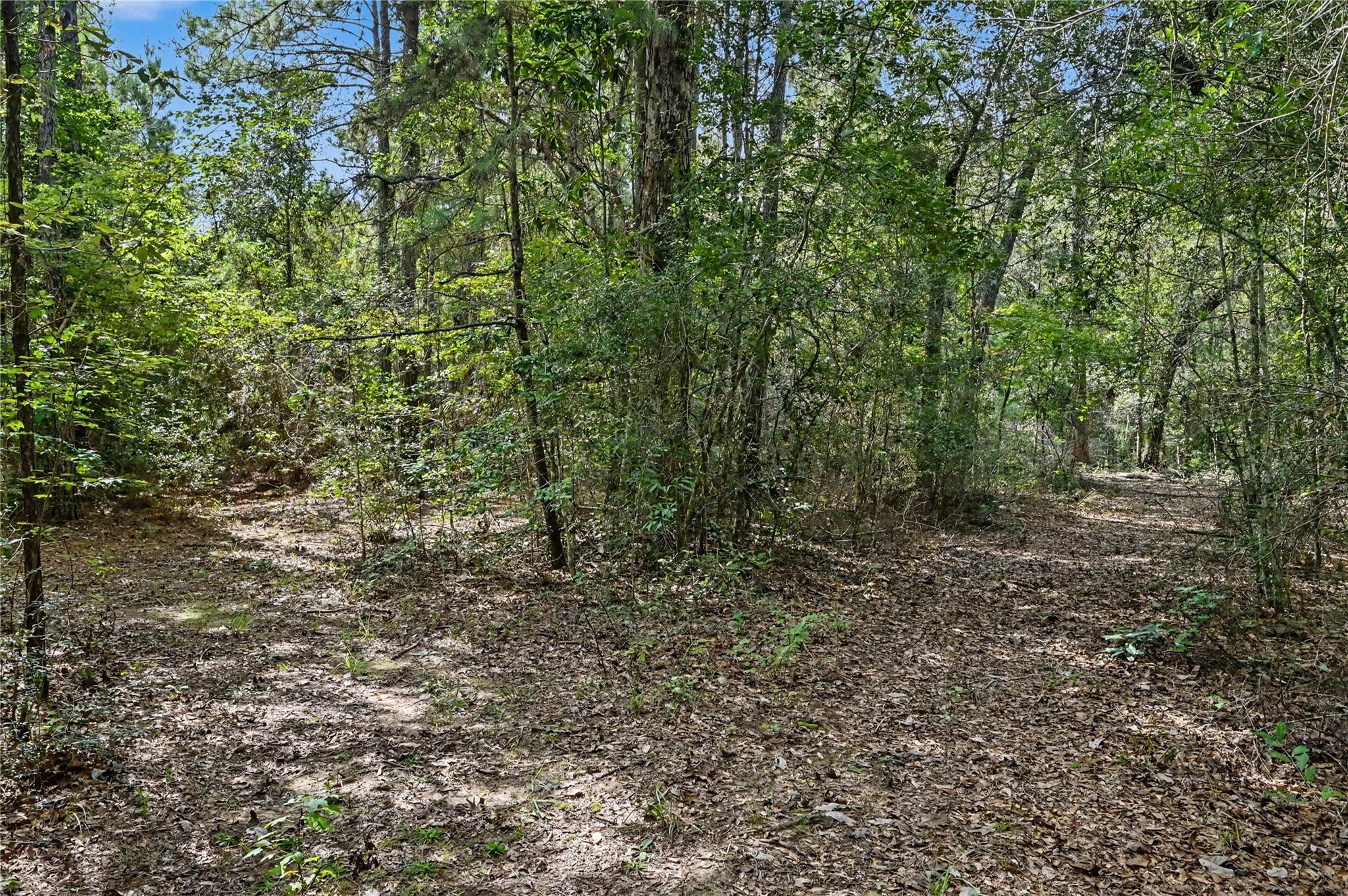 1153 Smith Lane