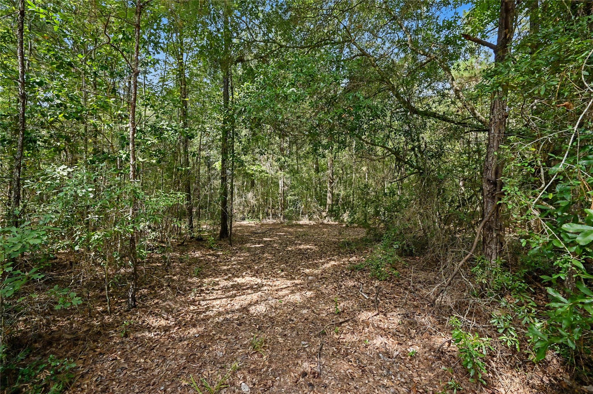 1153 Smith Lane