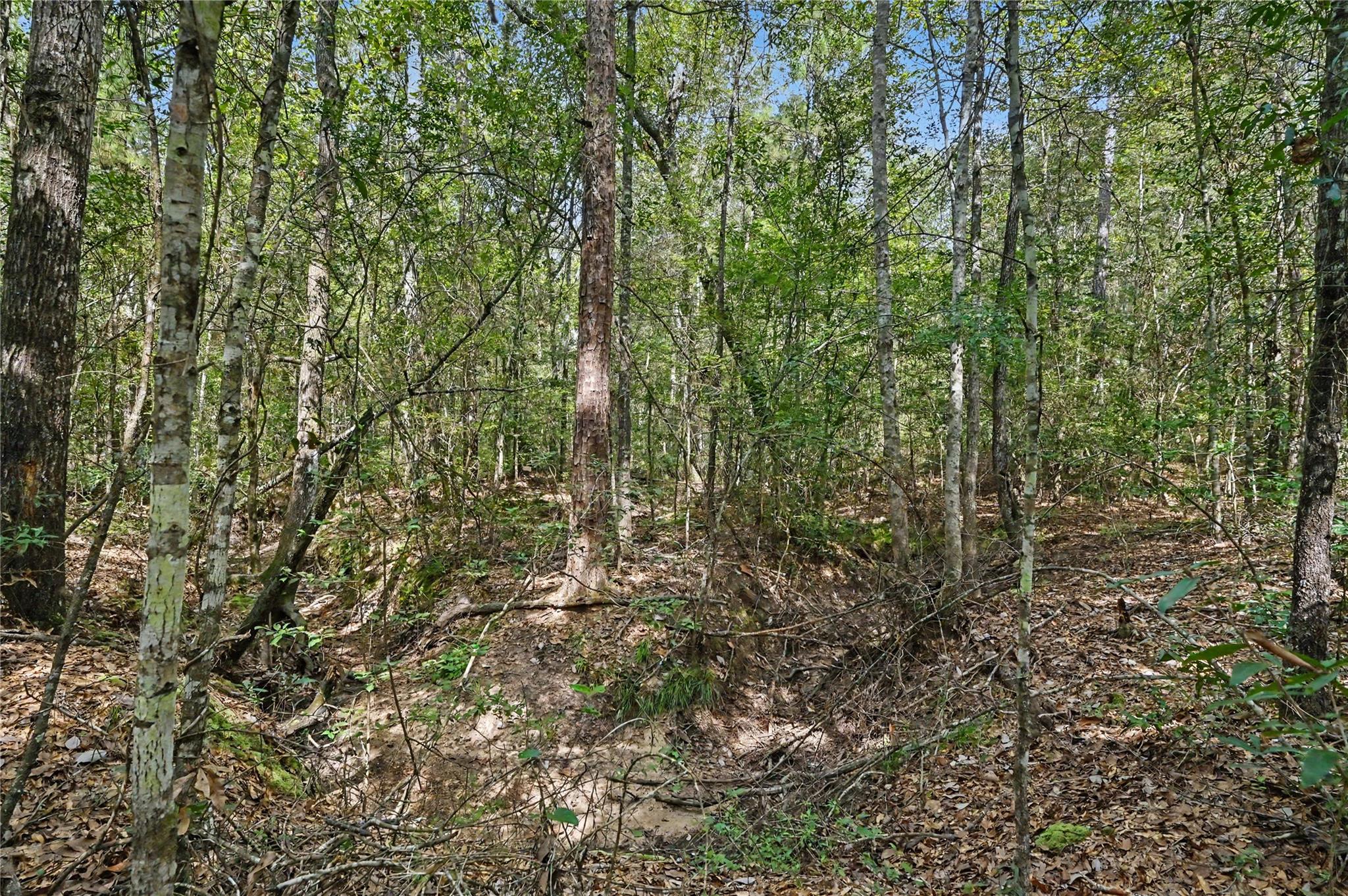 1153 Smith Lane