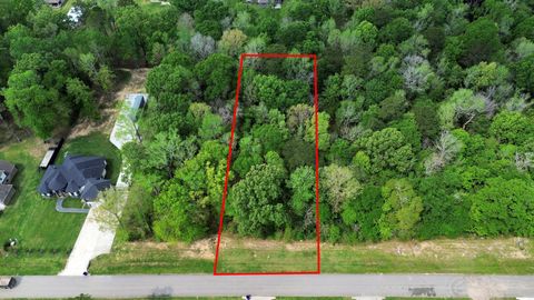 Vacant Land For Sale - 116 County Road 6606<br/> Dayton, TX 77535
