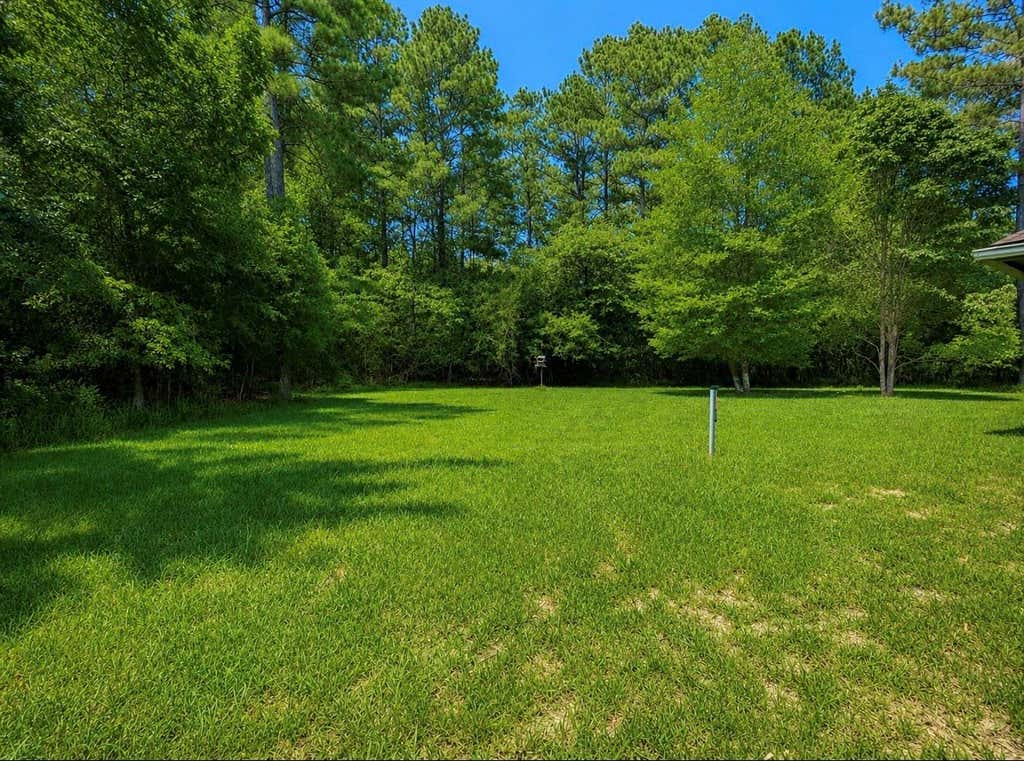 Photo of 612 Milner Road, Livingston, TX 77351 (MLS # 84164716)