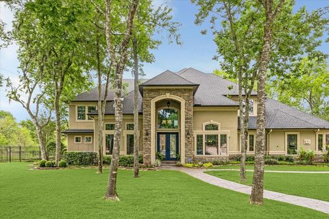 78 Big Trail Missouri City TX 77459