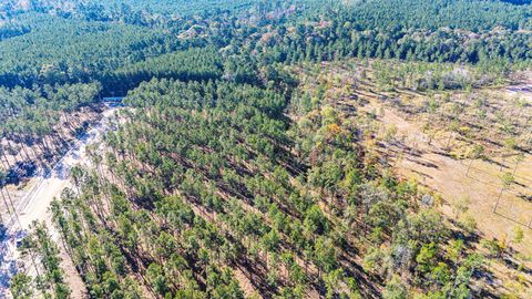 Vacant Land For Sale - 0012 Big Buck Drive<br/> Moscow, TX 75960