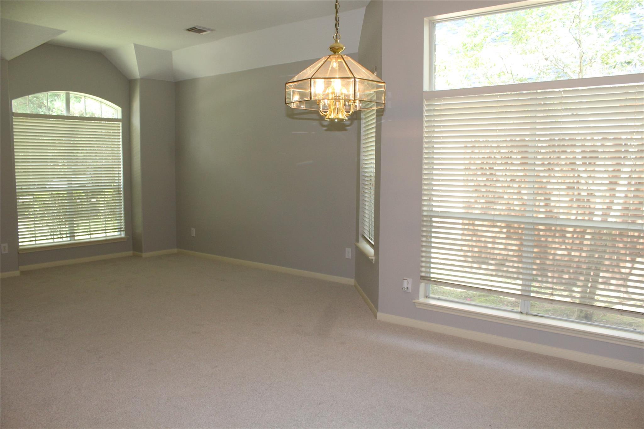 43 S Lace Arbor Drive