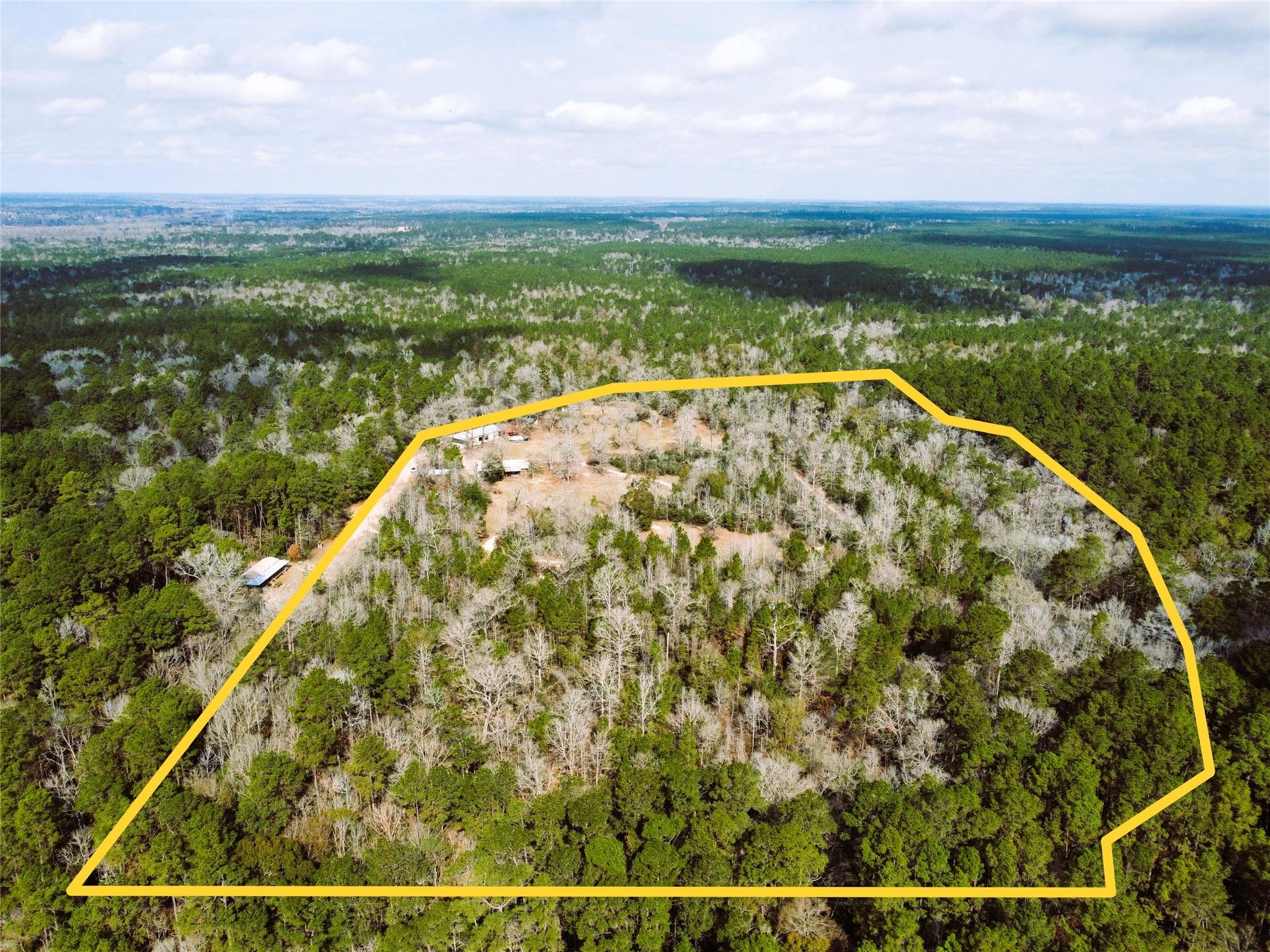 12848 Old Little Road