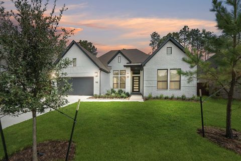16159 Rustling Woods Road Conroe TX 77302