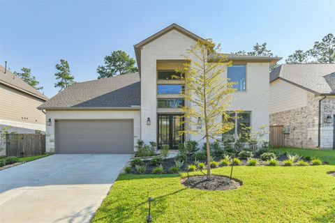Photo of 234 Butterfly Orchid Court, Conroe, TX 77318 (MLS # 74999803)