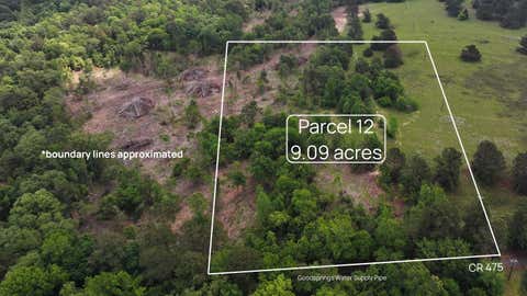 Vacant Land For Sale - TBD #12 County Road 475a<br/> Rusk County, Henderson, TX 75654