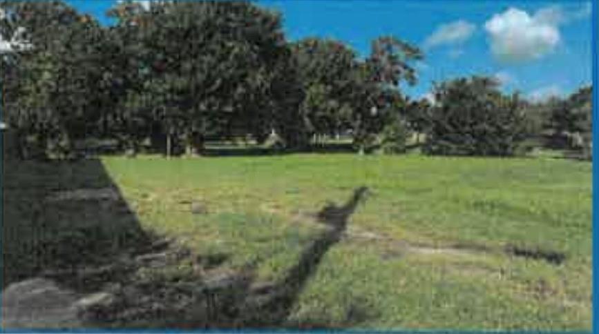 202 Texas Parkway
