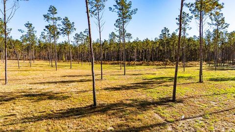 Vacant Land For Sale - LOT 19 Big Buck Drive<br/> Moscow, TX 75960
