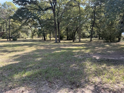 Vacant Land For Sale - TBD Deer Trail<br/> Waller County, Hockley, TX 77447
