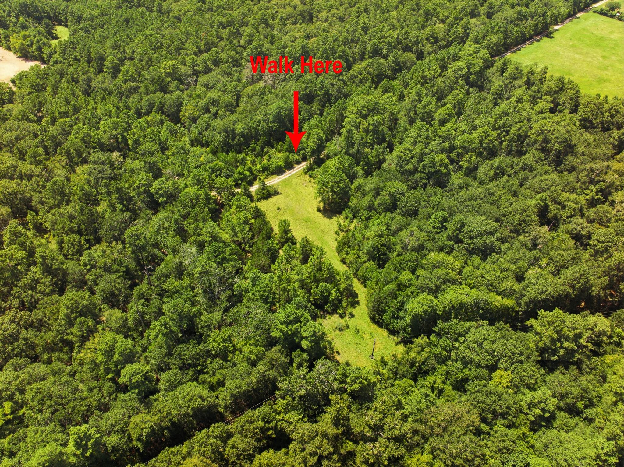 118.25 Acres Cr 278c