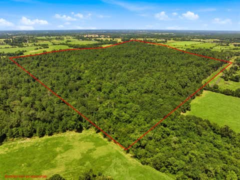 Vacant Land For Sale - 118.25 ACRES Cr 278c<br/> Grimes County, Anderson, TX 77830
