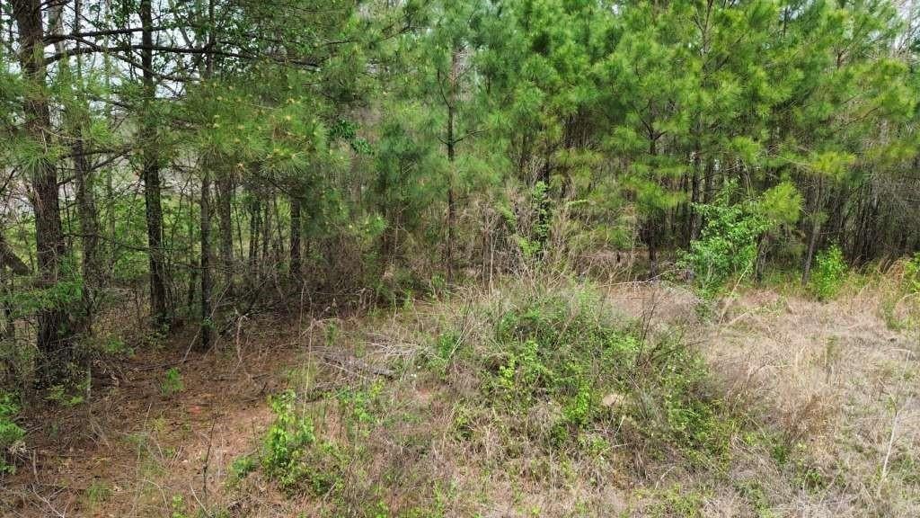 400 County Road 1924