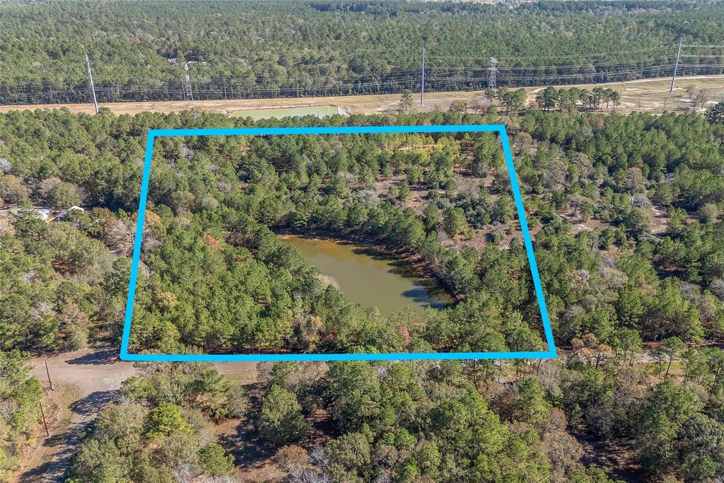 Photo of 15715 Rustling Oak Lane, Plantersville, TX 77363 (MLS # 4390155)