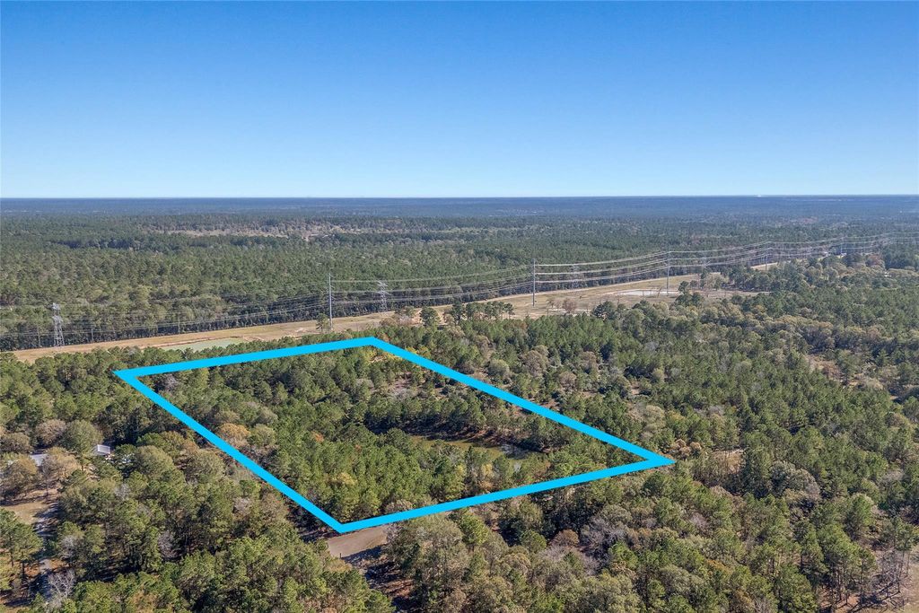 Photo of 15715 Rustling Oak Lane, Plantersville, TX 77363 (MLS # 4390155)