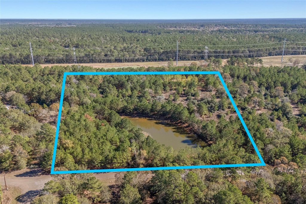 Photo of 15715 Rustling Oak Lane, Plantersville, TX 77363 (MLS # 4390155)