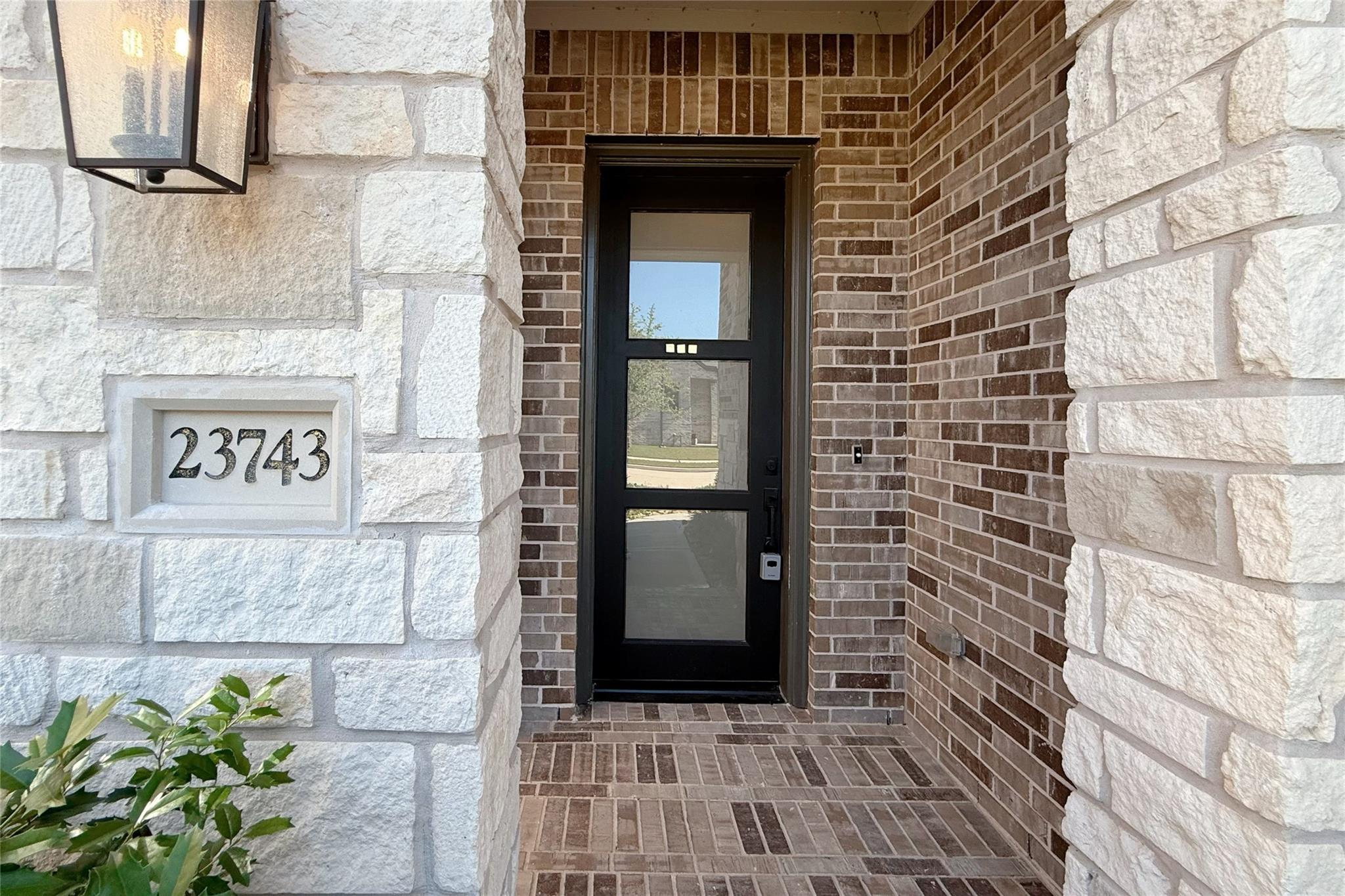 23743 Blackhaw Blossom Lane