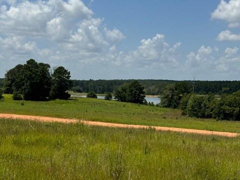 Vacant Land For Sale - TBD Madison Lake Loop<br/> Hillister, TX 75979