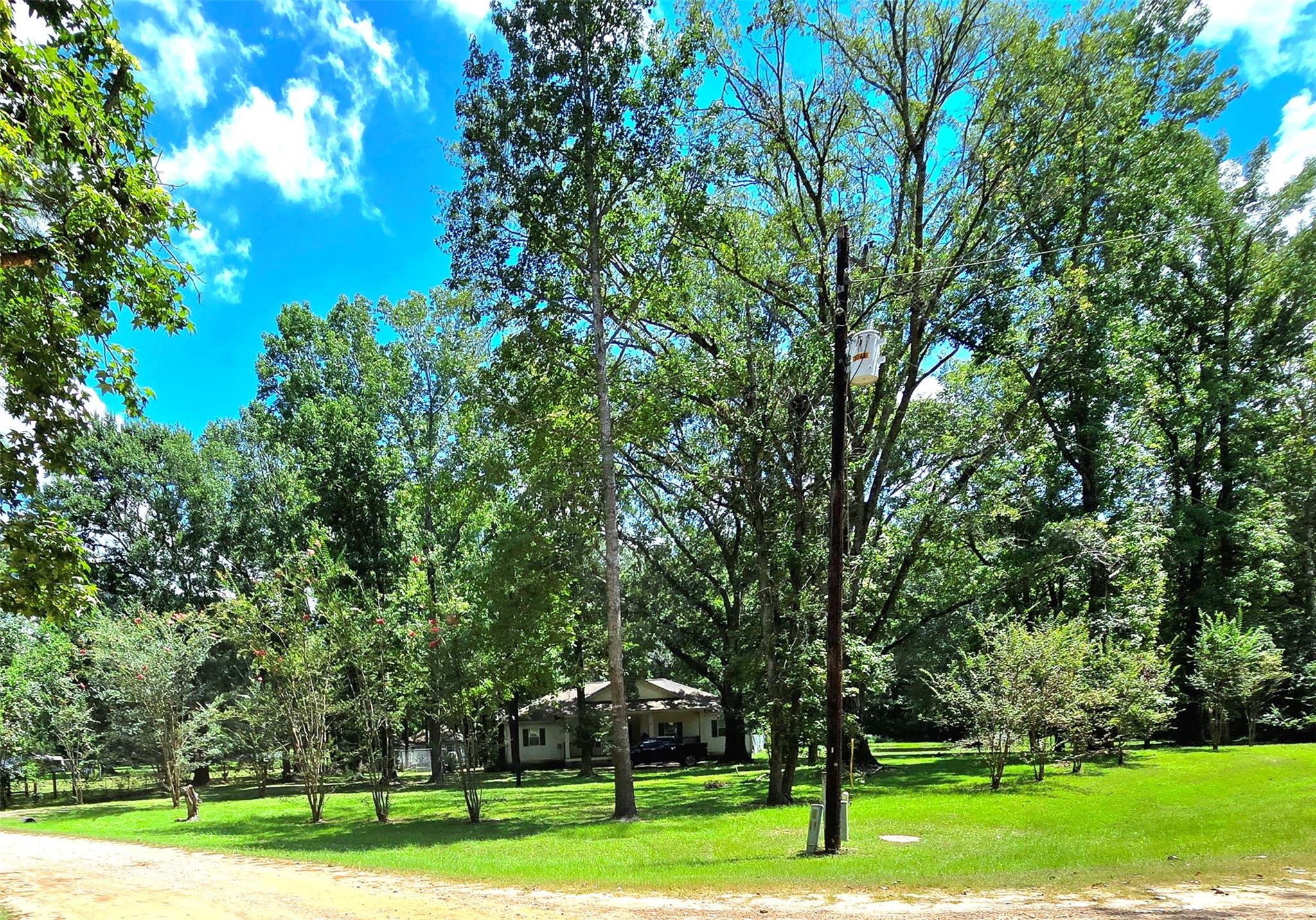 10 Elderberry Road