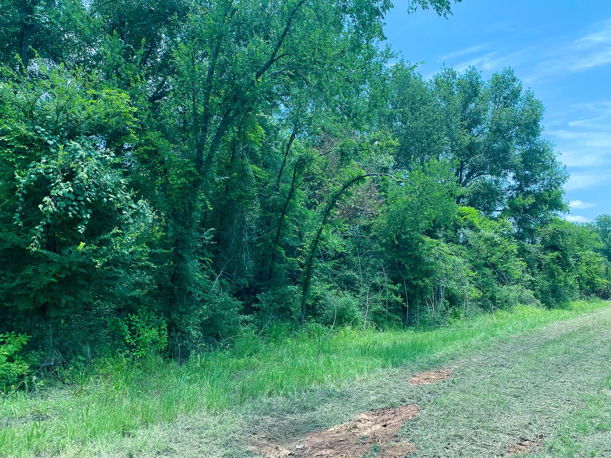 4958 County Road 426