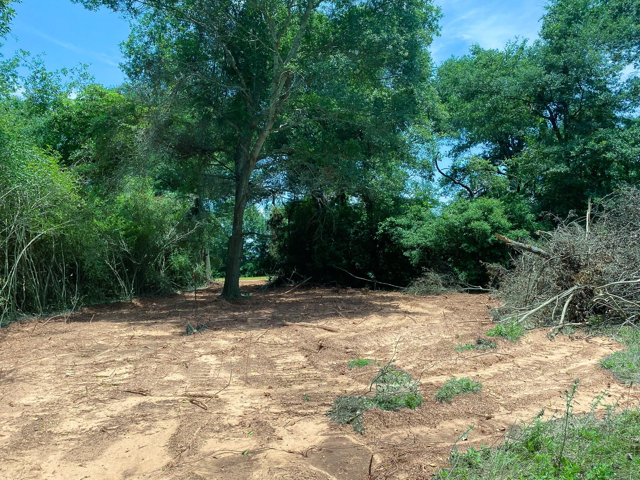 4958 County Road 426