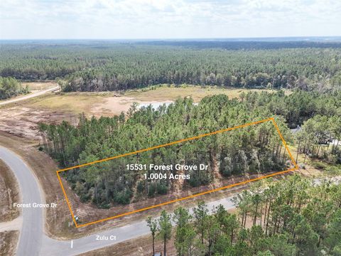 15531 Forest Grove Drive Willis TX 77378