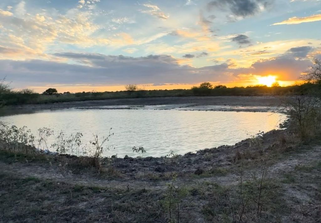 Photo of 36847 Richard Frey 2-28 Road, Hempstead, TX 77445 (MLS # 12927176)